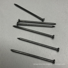 Good Quality Common Iron Nail with Electric Galvanized Surface Treatment